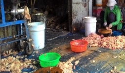 Bắt cơ sở chế biến mỡ heo bẩn bày la liệt trên nền gạch